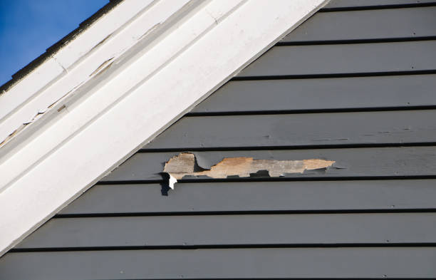 Best Siding Removal and Disposal  in Hephzibah, GA