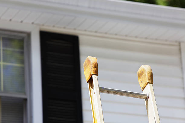 Best Custom Trim and Detailing for Siding  in Hephzibah, GA