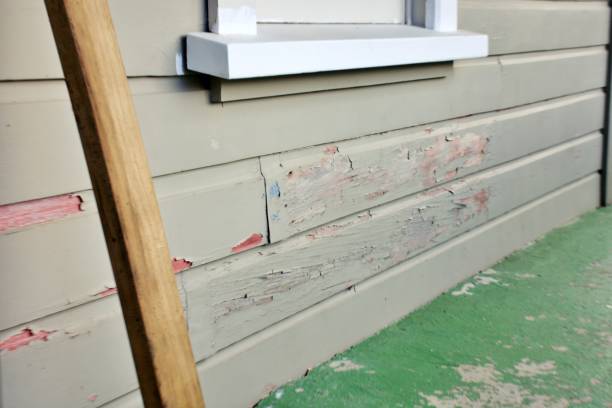 Best Storm Damage Siding Repair  in Hephzibah, GA